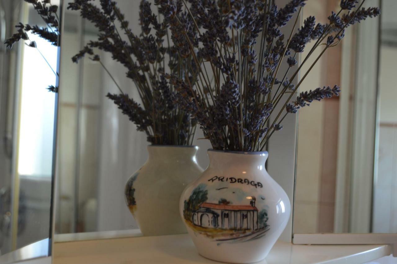 Apartman Lucija Pridraga Εξωτερικό φωτογραφία