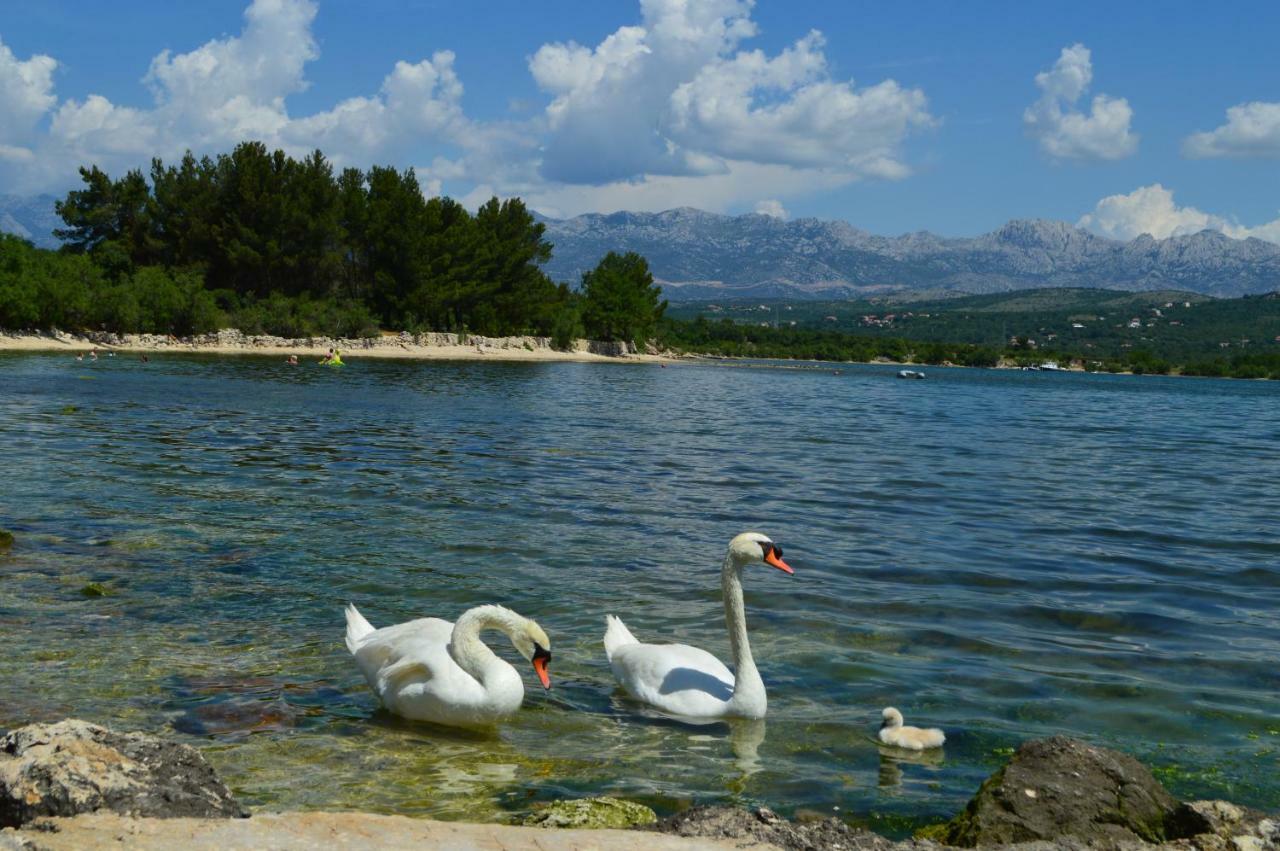 Apartman Lucija Pridraga Εξωτερικό φωτογραφία